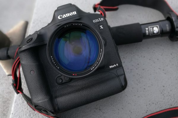 Canon】一眼レフという選択肢～Canon EOS-1D X Mark II編～ | THE MAP