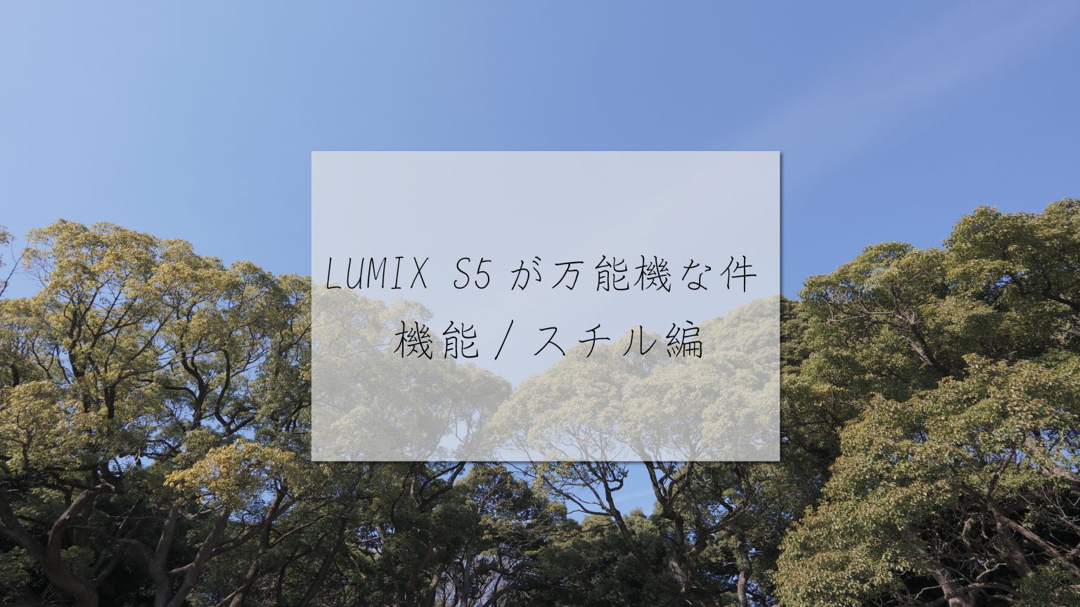 【Panasonic 】LUMIX S5が万能機な件～機能・スチル編～
