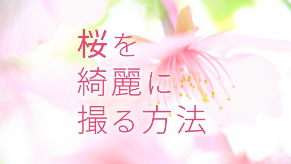 【FUJIFILM】桜を綺麗に撮る方法を動画でご紹介