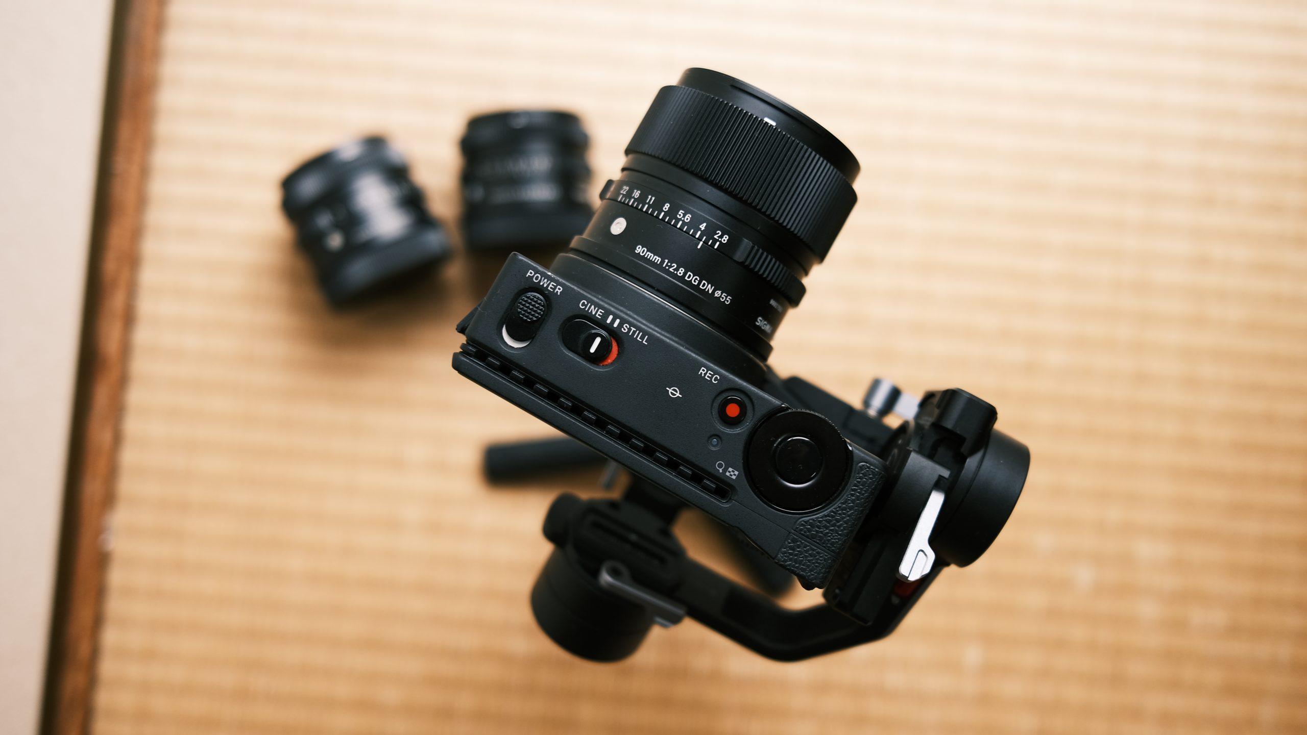 SIGMA】fpとContemporary 90mm F2.8 DG DNで動物を撮影してみた。 | THE MAP TIMES