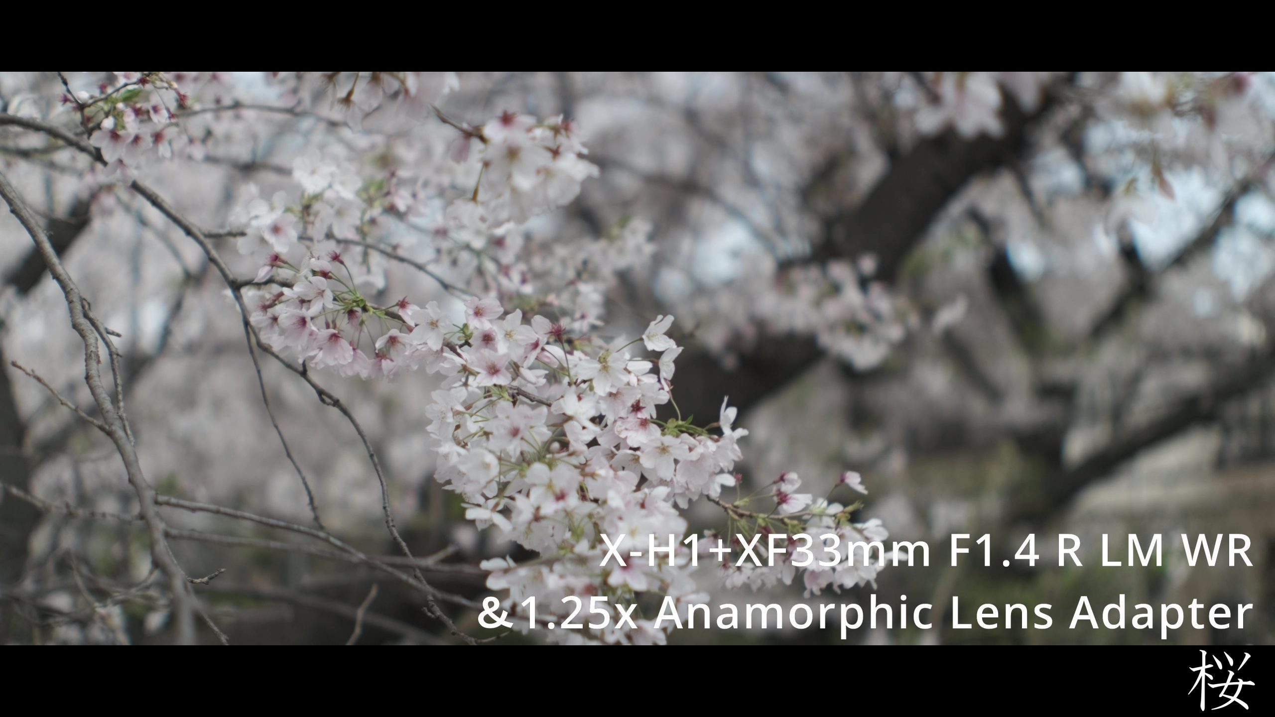 FUJIFILM】X-H1とSIRUIアナモルフィックアダプターで撮る桜 | THE MAP