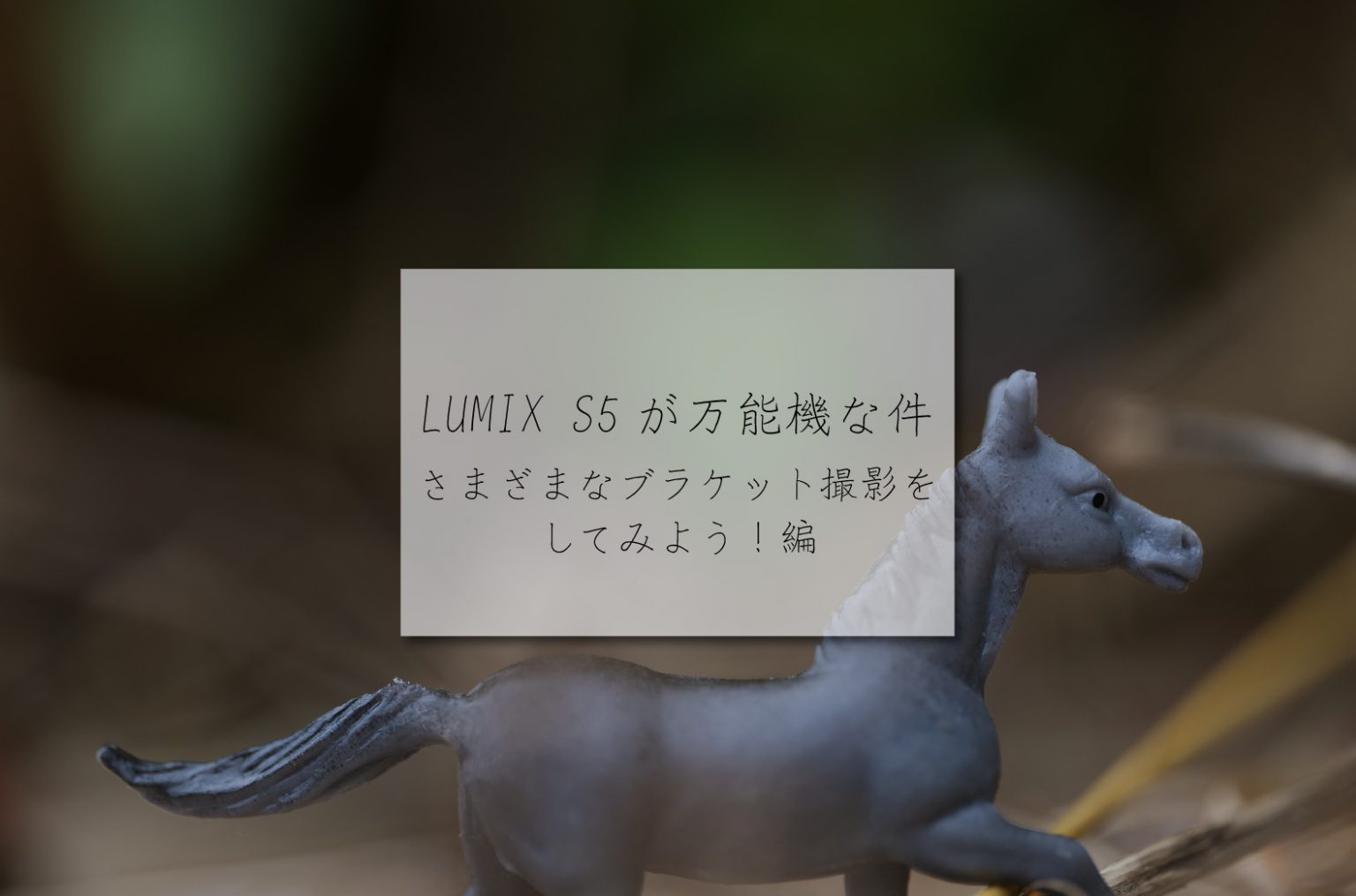 【Panasonic】LUMIX S5が万能機な件～さまざまなブラケット撮影をしてみよう！編～