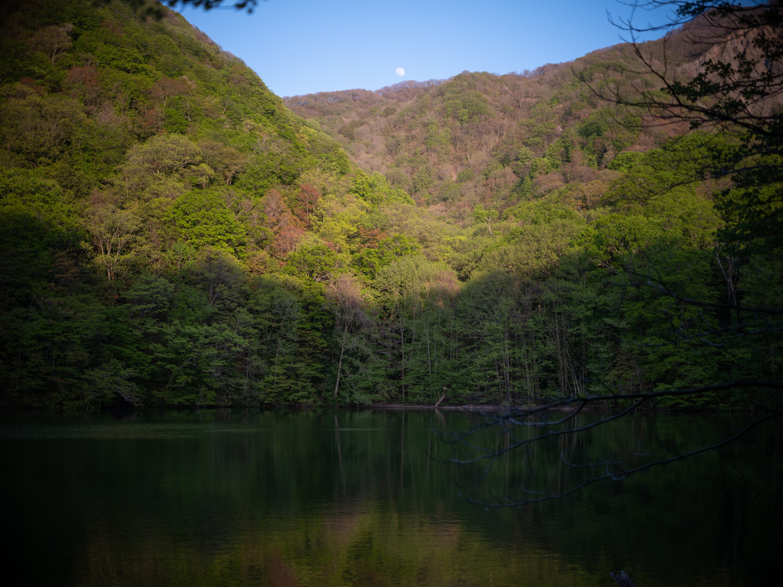 FUJIFILM】GFXユーザー必携の一本!!『CarlZeiss Otus 55mm F1.4 FUJIFILM】GFXユーザー必携の一本!!『CarlZeiss Otus 55mm F1.4