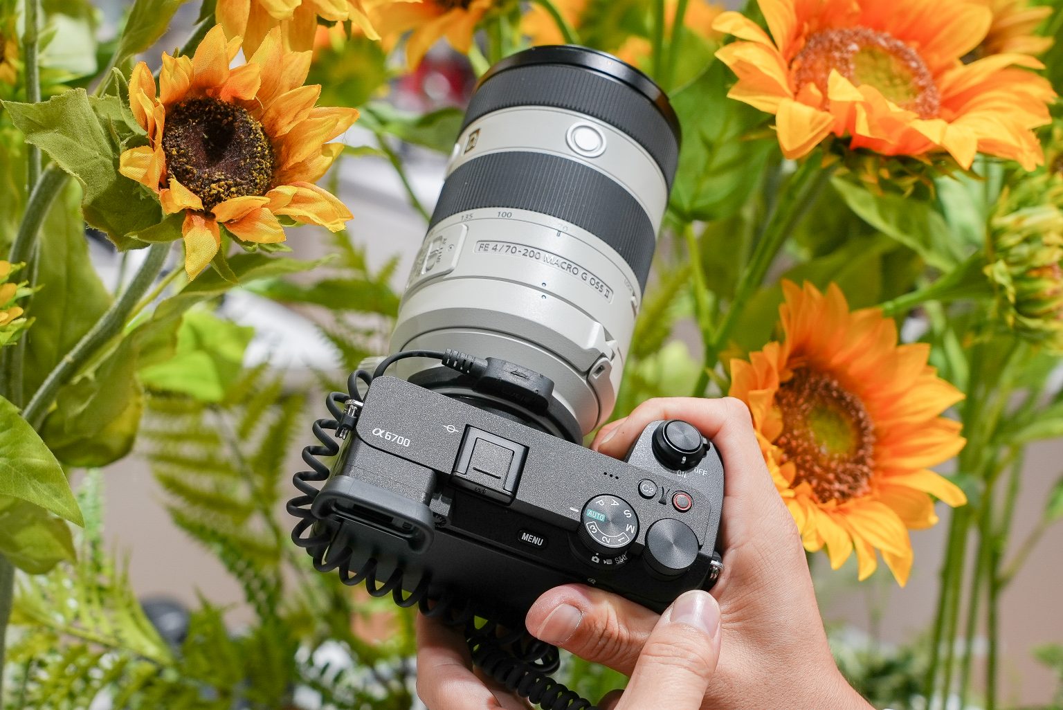 【SONY】「α6700」「FE 70-200mm F4 Macro G OSS II」「ECM-M1」先行体験レポート