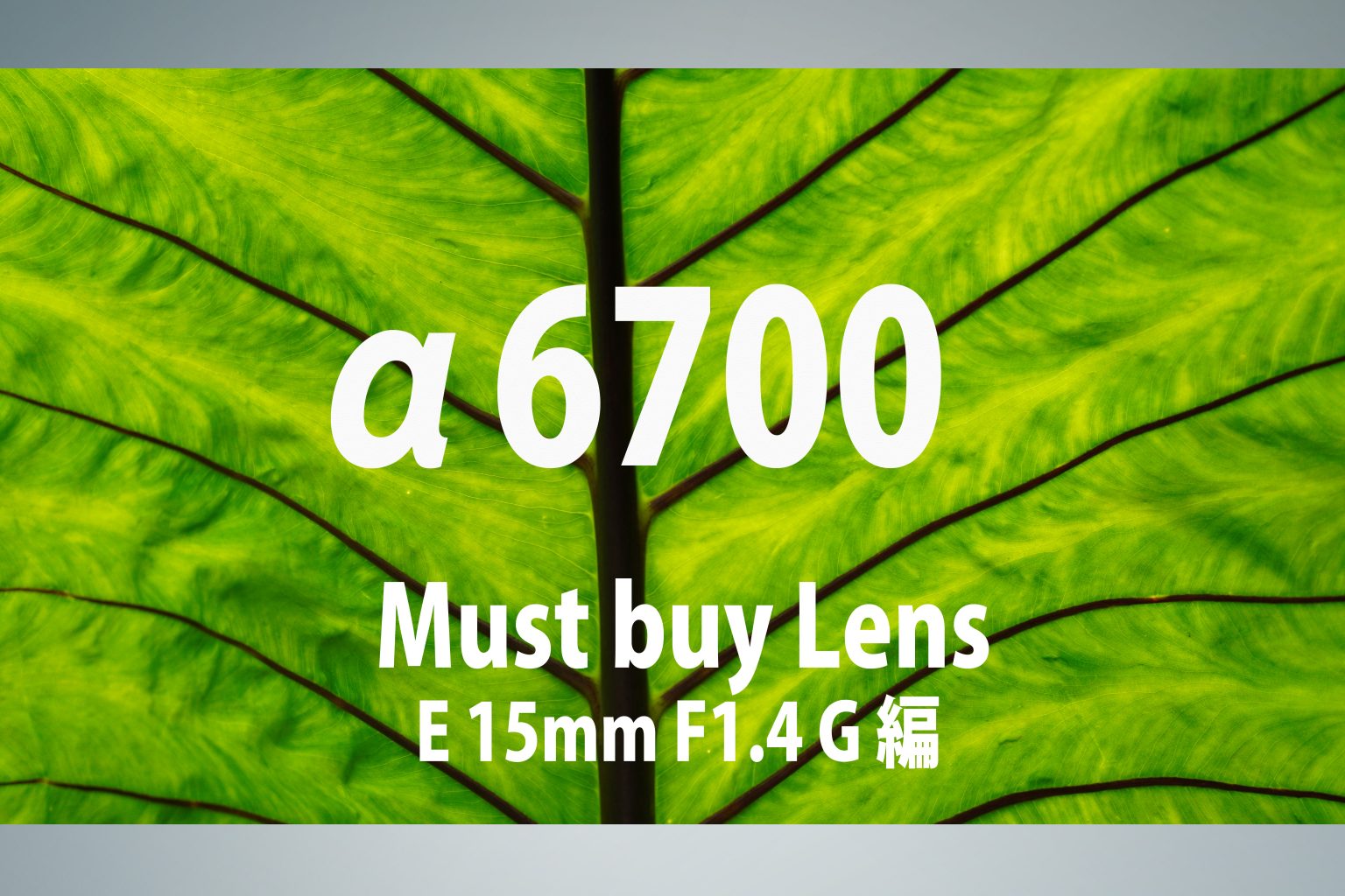 【SONY】α6700 Must buy Lens～E15mmF1.4G編～