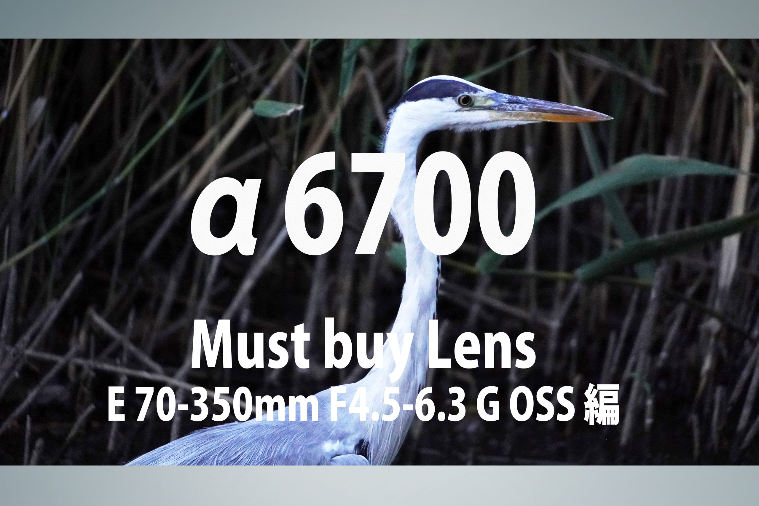 SONY】α6700 Must buy Lens～E 70-350mm F4.5-6.3 G OSS編～ | THE MAP TIMES