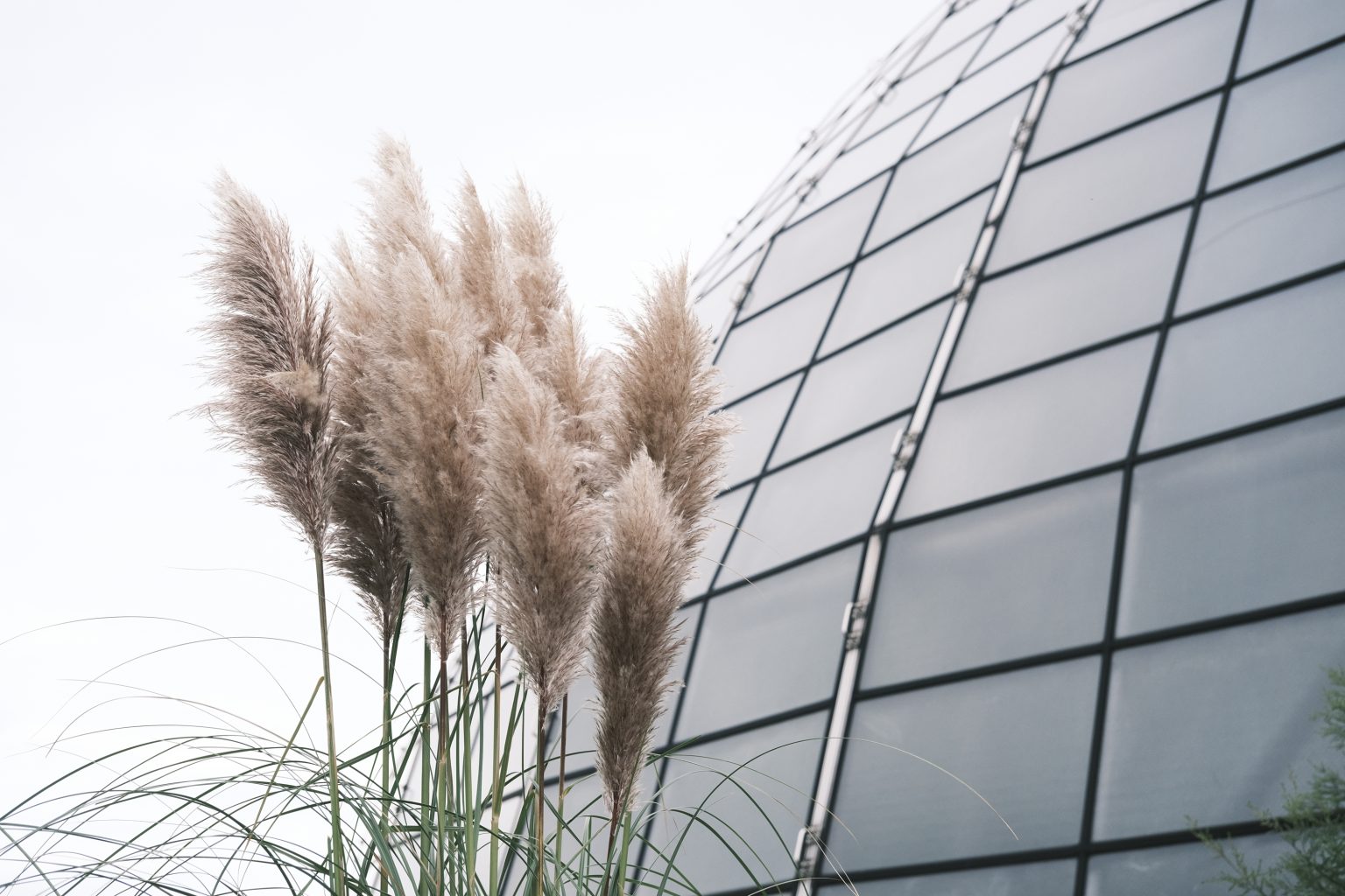 【Voigtlander】植物園散策