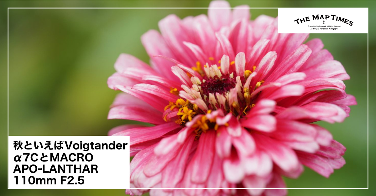 Voigtander】秋と言えばVoigtander。α7CとVoigtlander MACRO APO Voigtander】秋と言えばVoigtander。α7CとVoigtlander MACRO APO