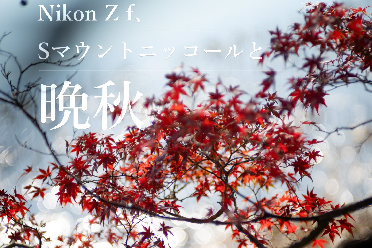 【Nikon】Z f、Sマウントニッコールと晩秋