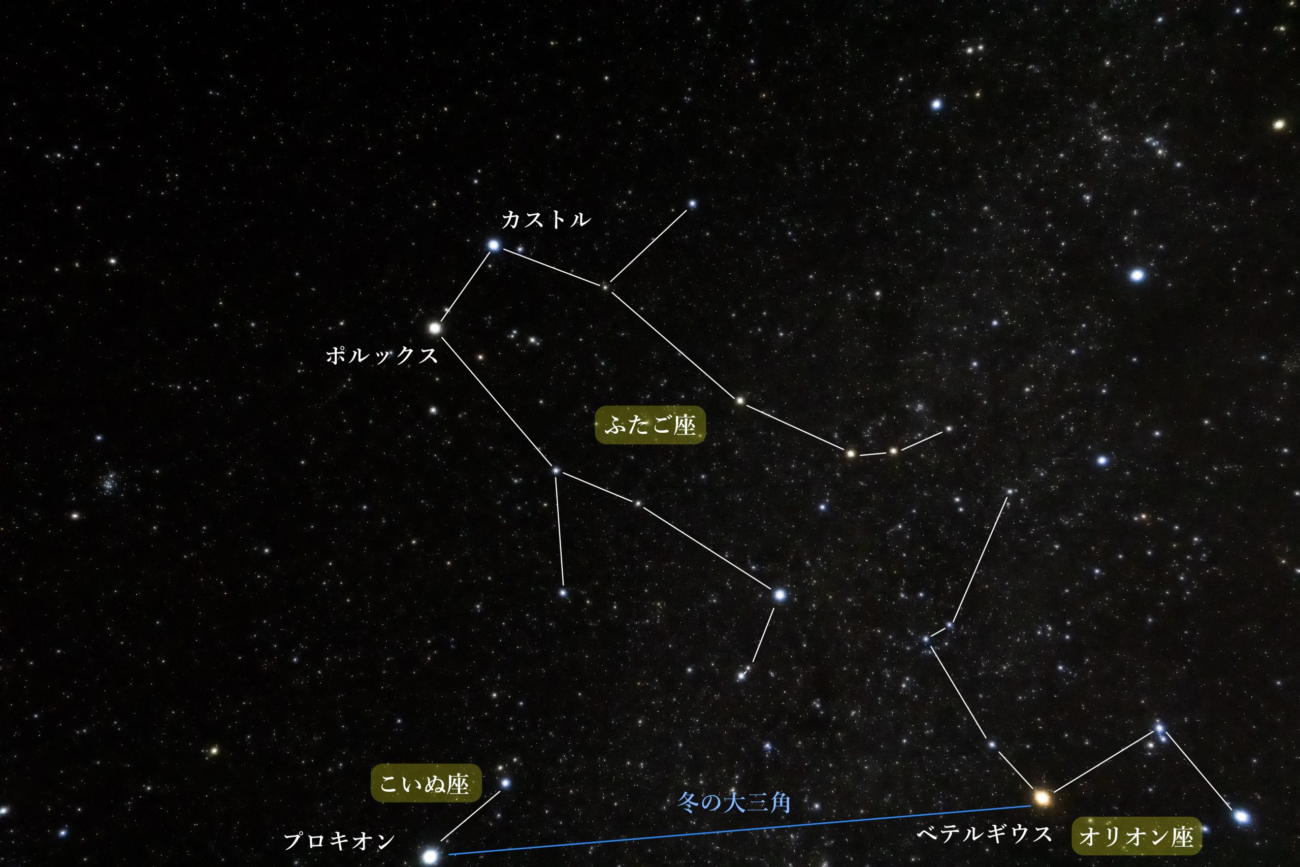 Wish Upon a Star】ふたご座流星群 2023 | THE MAP TIMES