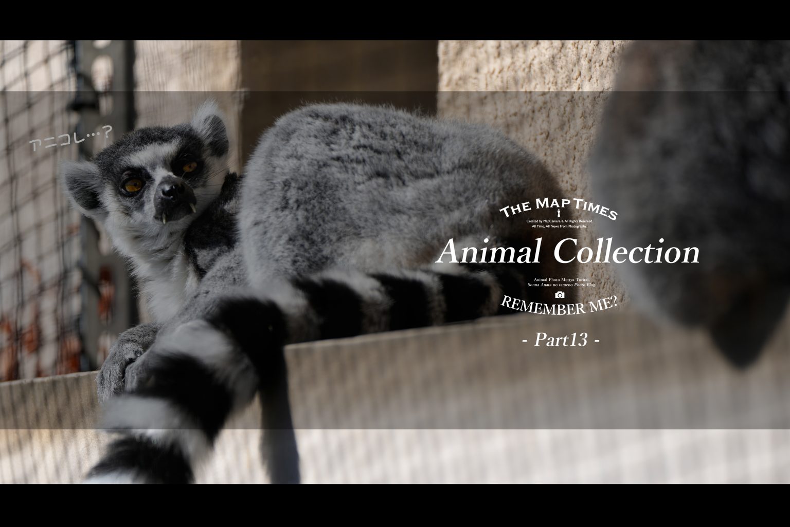 【SONY】アニコレ～Animal collection～Part13