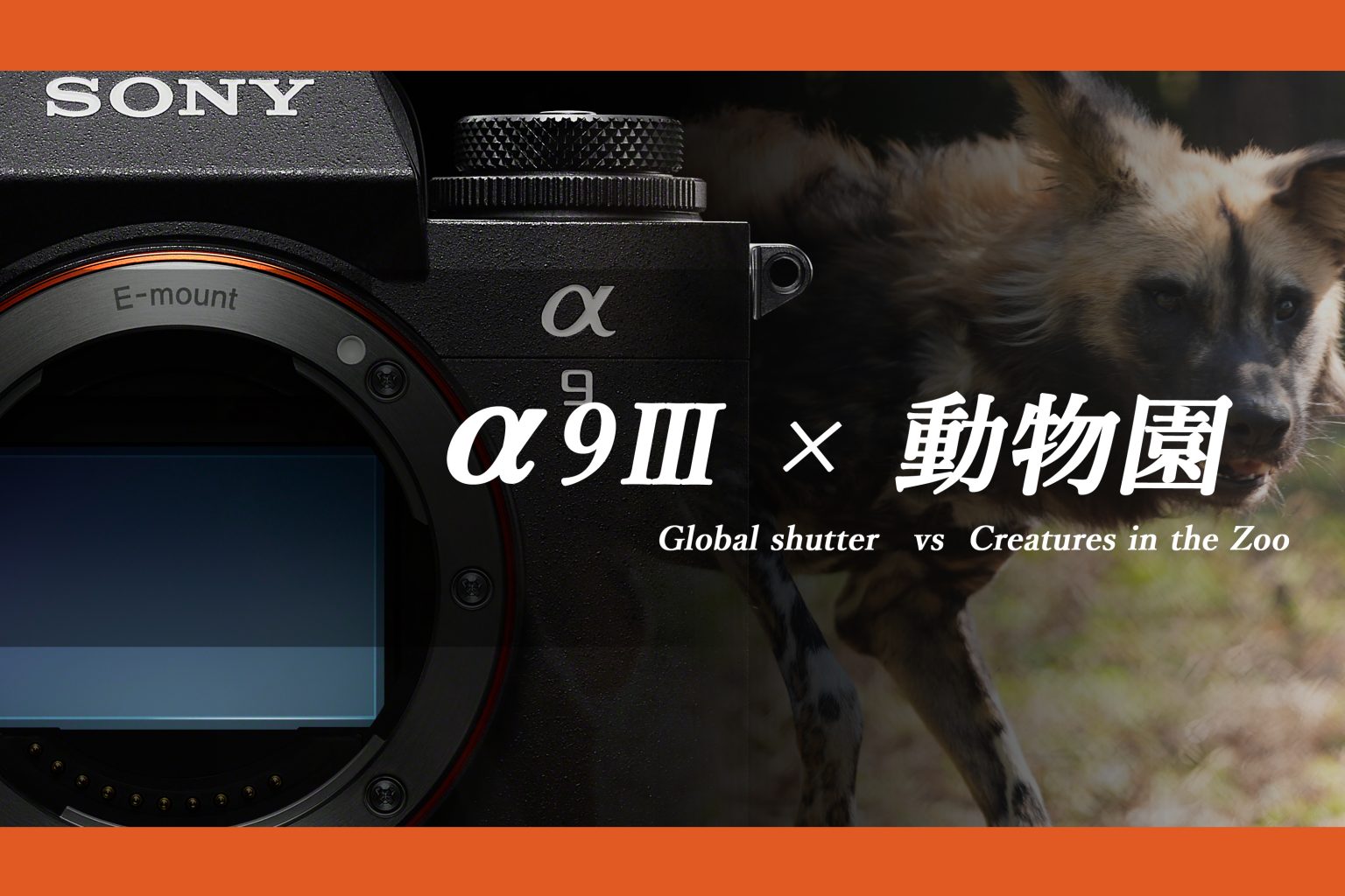 【SONY】α9Ⅲ×動物園