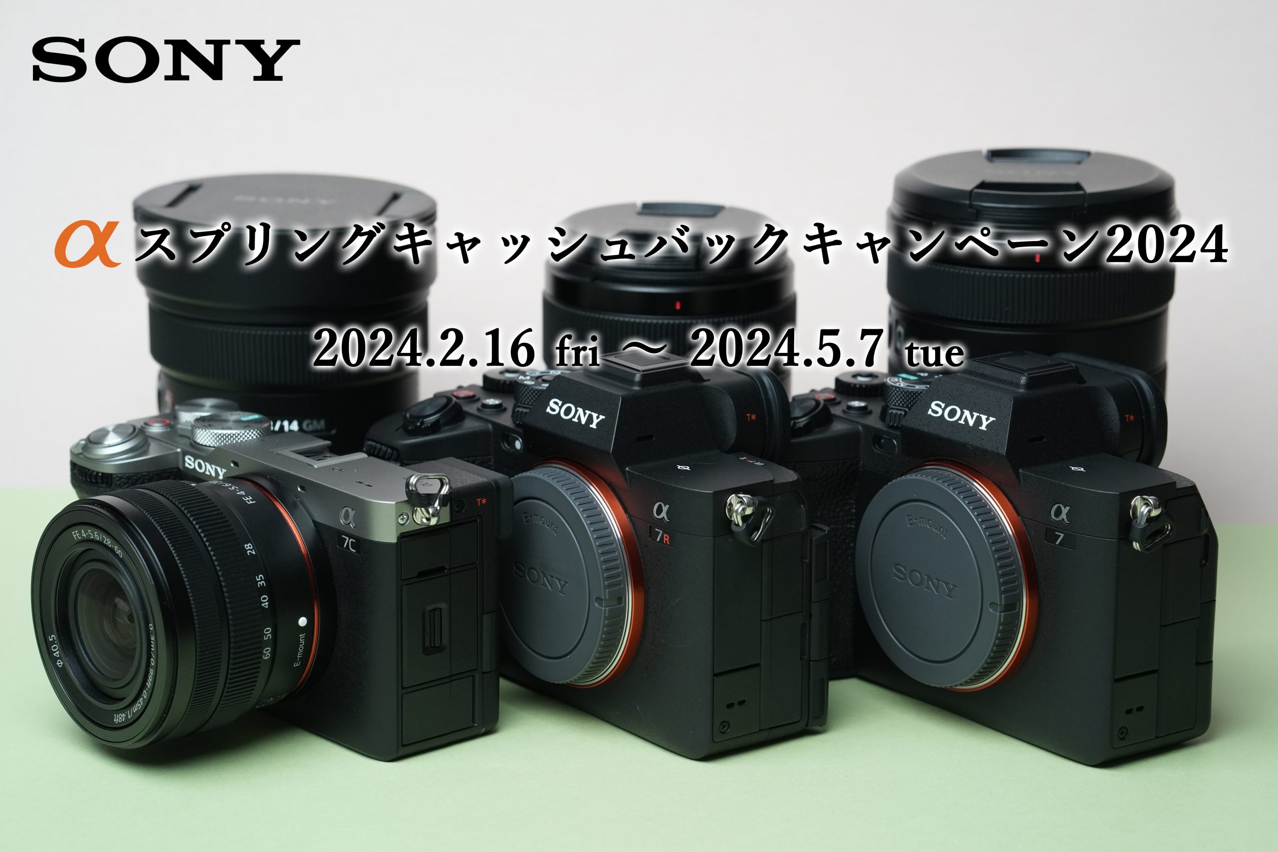 sony カメラ キャッシュ バック 販売