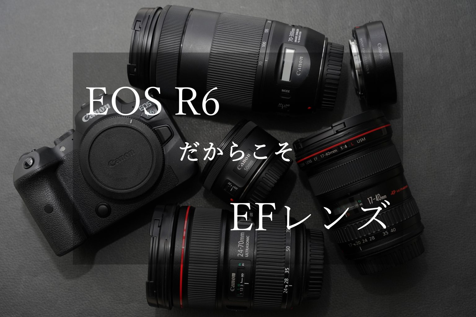 【Canon】EOS R6だからこそEFレンズ