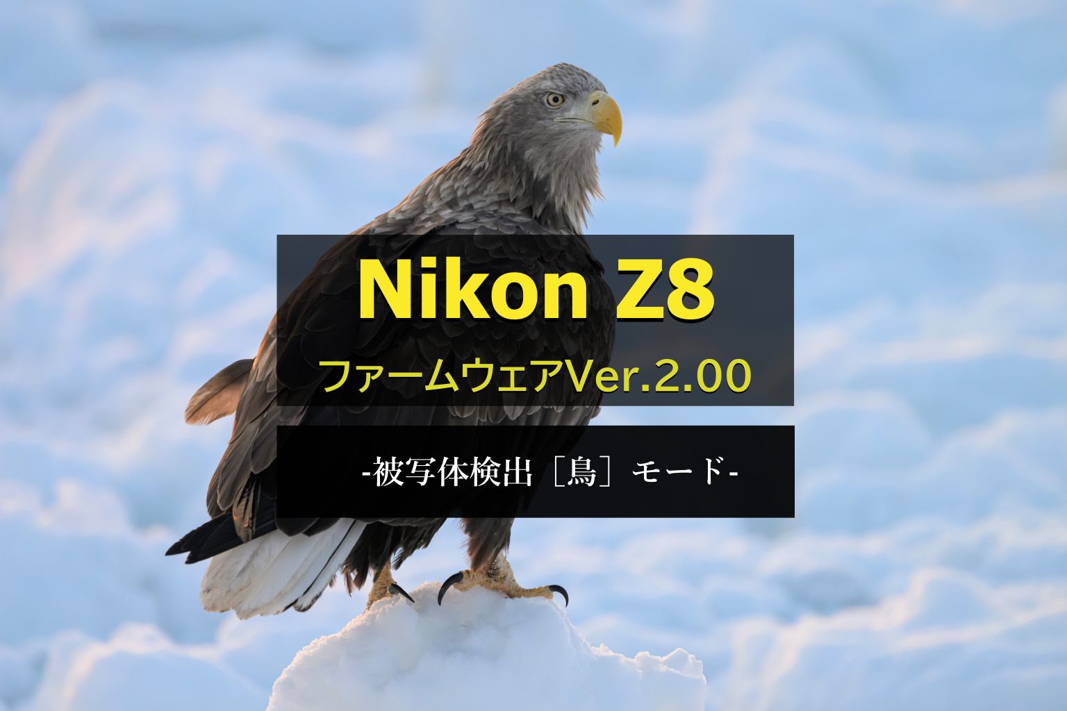 【Nikon】進化を遂げるZ8 Ver.2.00に迫る -被写体検出［鳥］モード-