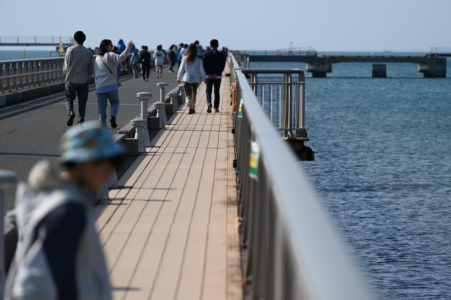 【Nikon】渚の駅のたてやまで海を臨む