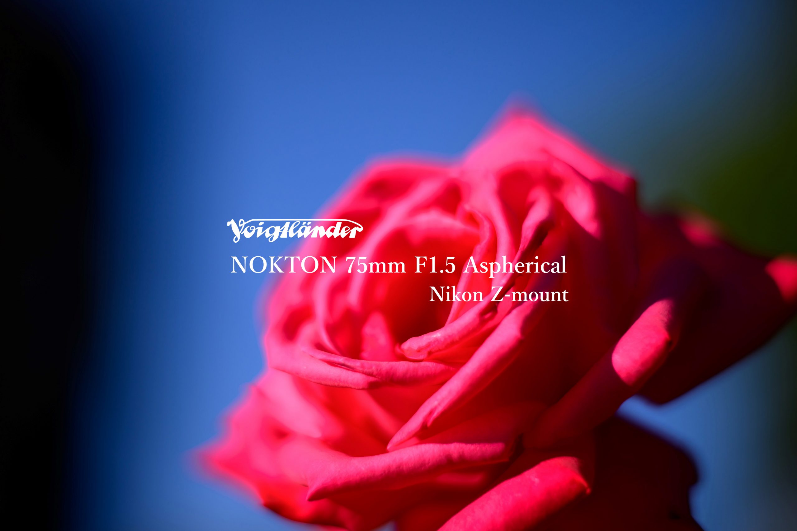 Voigtlander】10本目のZマウントレンズ『NOKTON 75mm F1.5 Voigtlander】10本目のZマウントレンズ『NOKTON 75mm F1.5
