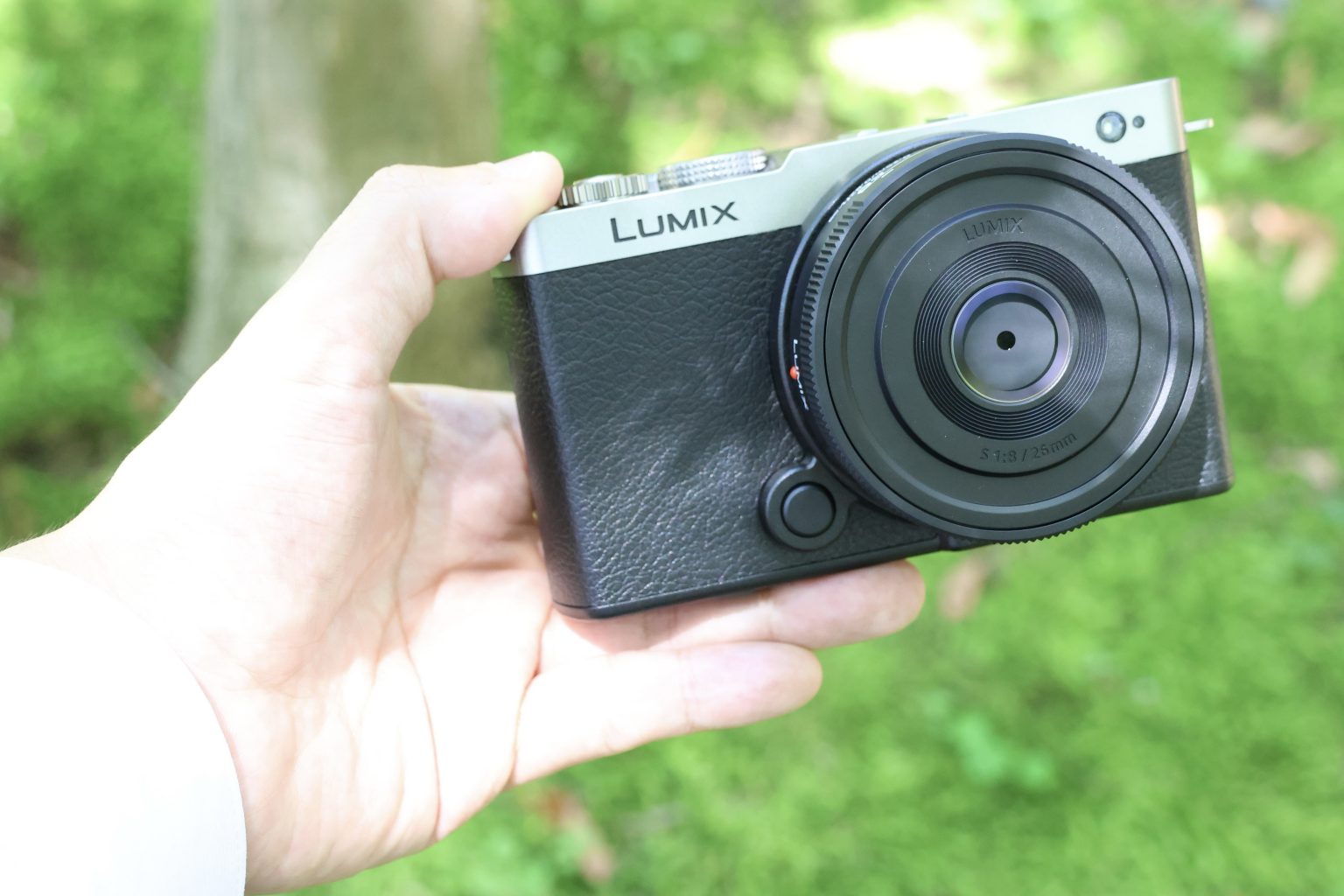 【Panasonic】LUMIX S9さん、こんにちは ～旧芝離宮恩賜庭園～