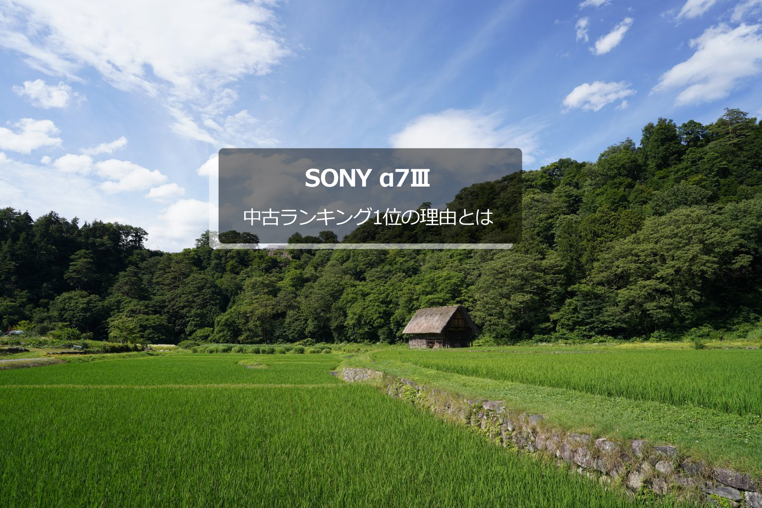 【SONY】α7Ⅲ、中古ランキング1位の理由とは