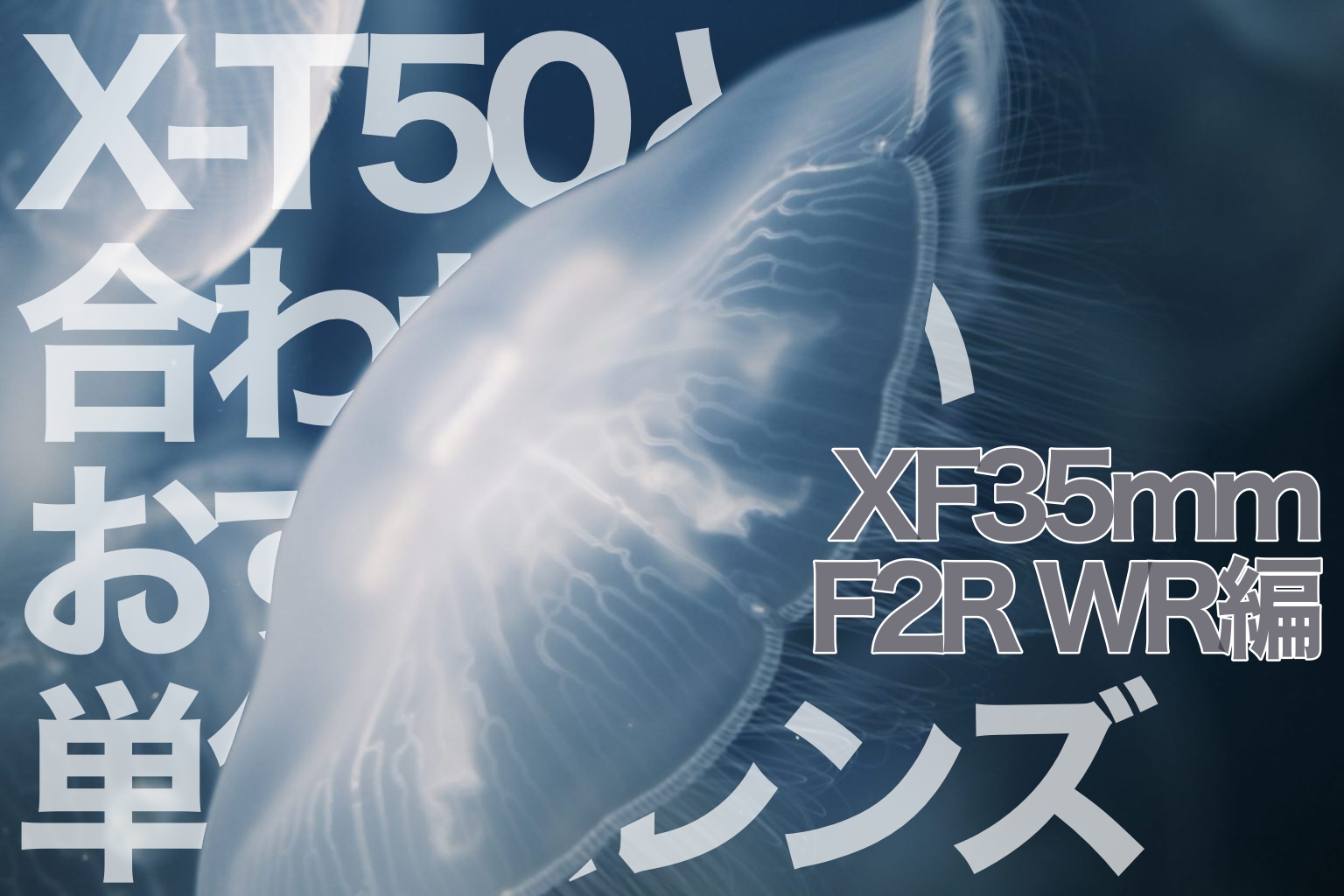 【FUJIFILM】X-T50と合わせたいおすすめ単焦点レンズ～XF35mmF2R WR編～