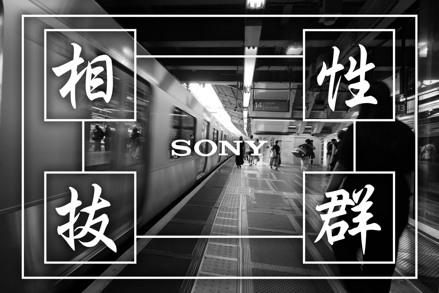 【SONY】相性抜群！α7C II×Contemporary 17mm F4 DG DN