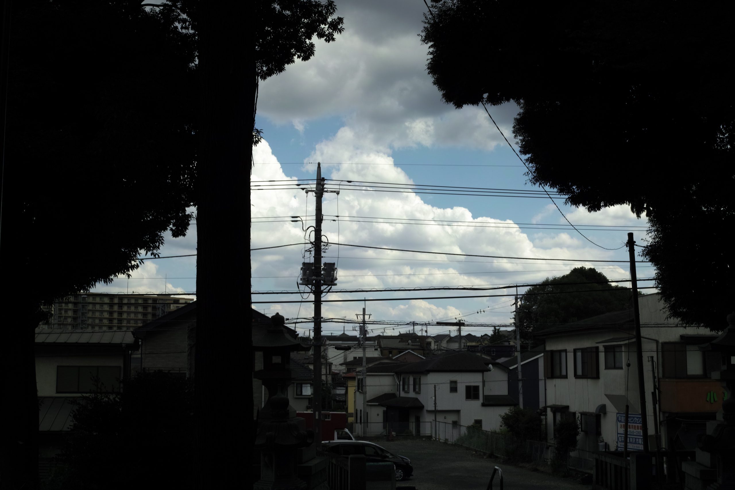 ◇シグマSIGMA DP2 FOVEONセンサー/VF-11/HA-21等付き◇（Foveon