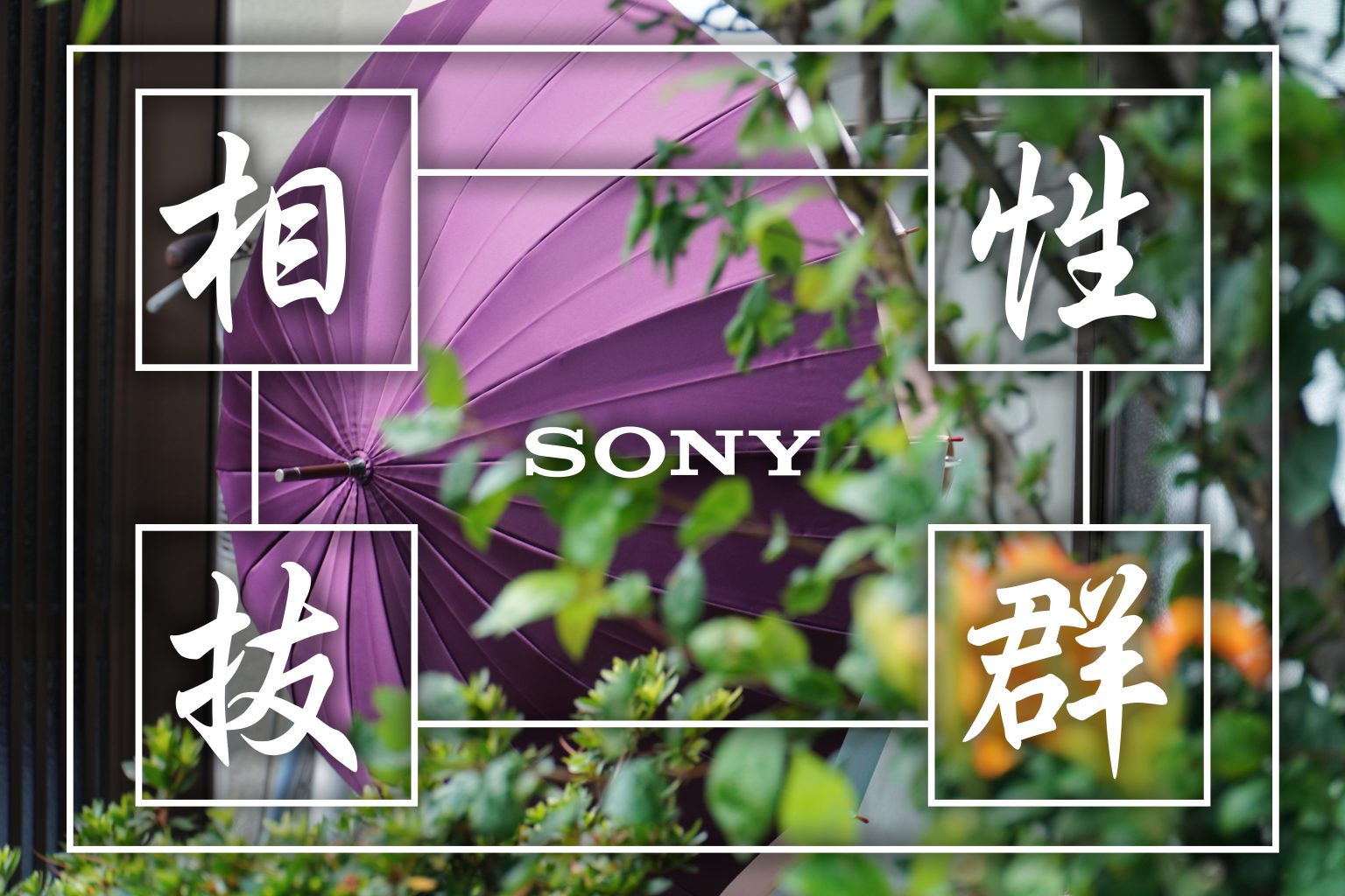 【SONY】相性抜群！ZV-E10×E PZ 18-105mm F4 G OSS