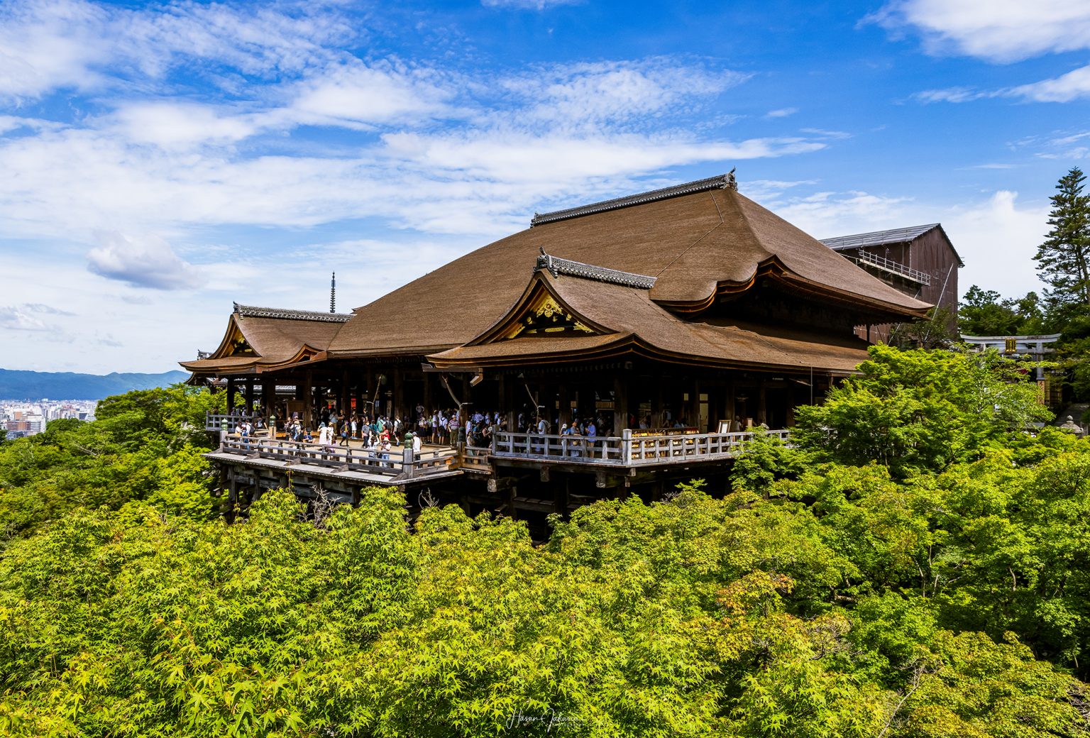 【MapCamera PHOTO CONTEST】 美しき「京都の四季」写真をご紹介！