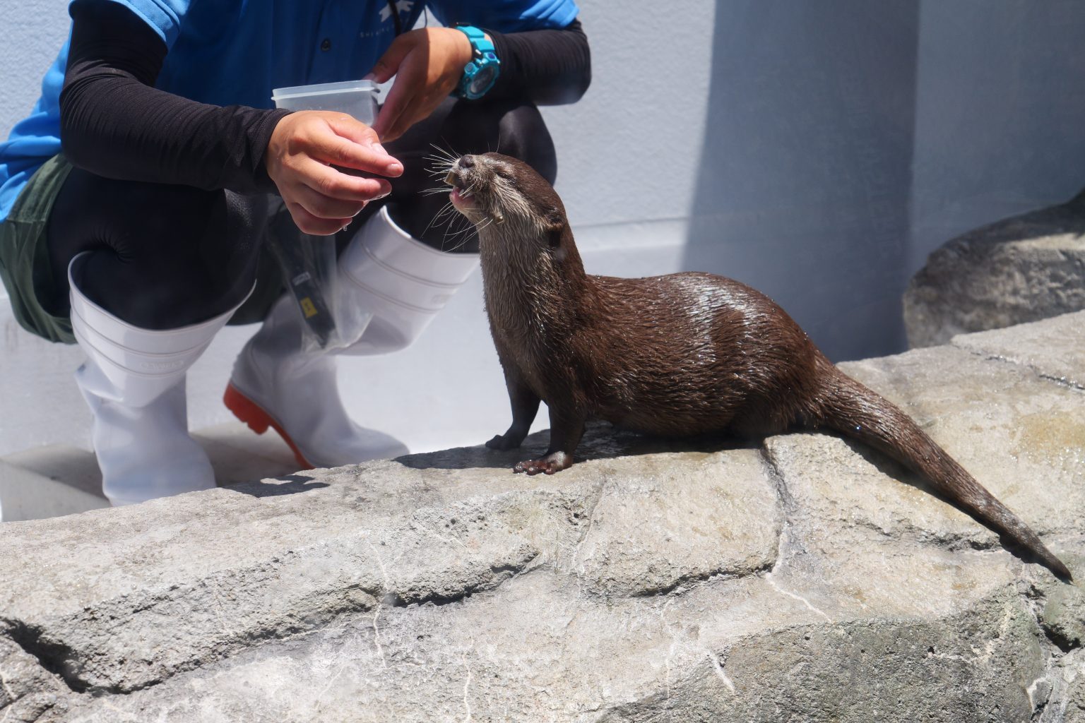 【Panasonic】S9といく、うどんと水族館の旅