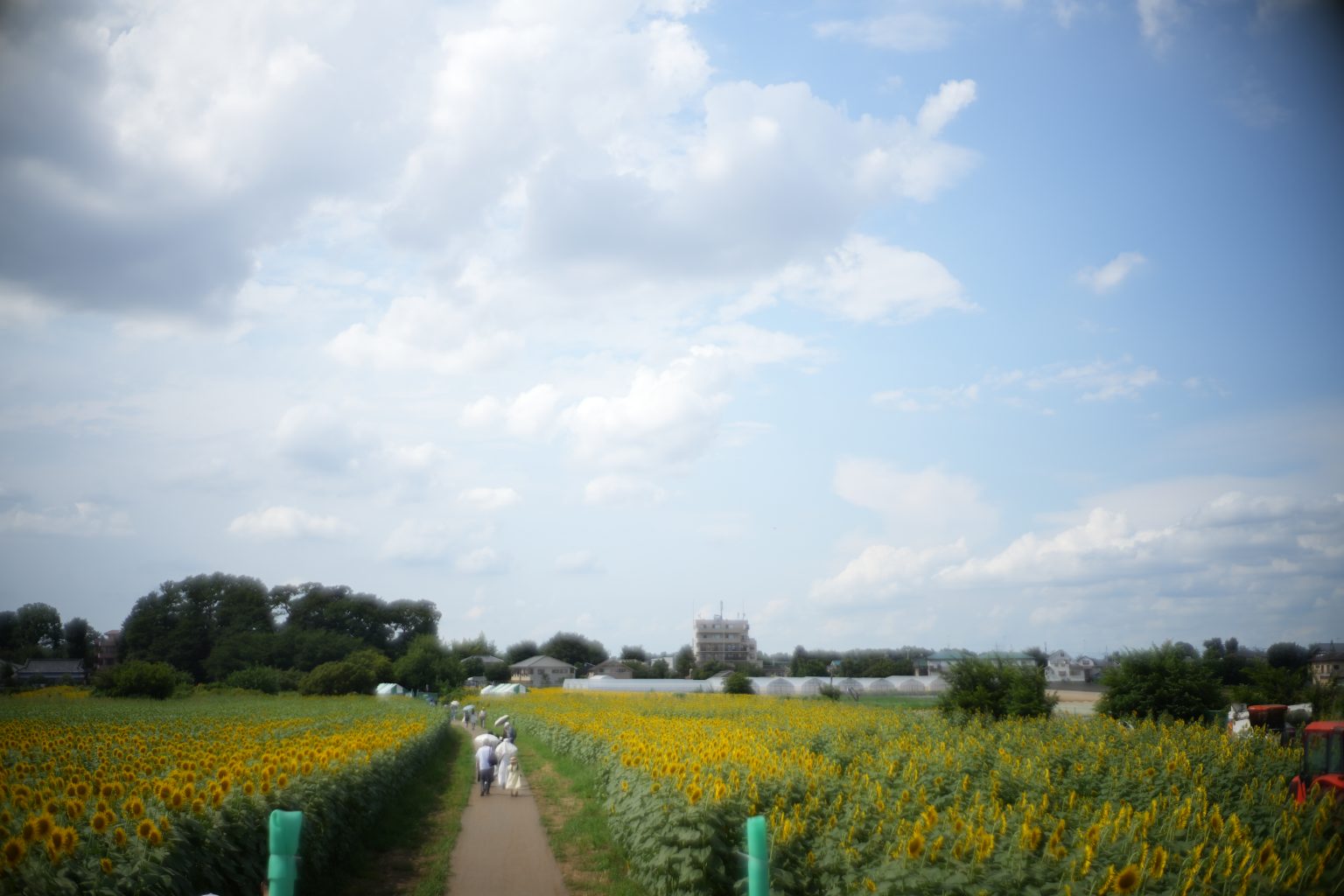 【Leica】Mレンズと共に過ごした夏