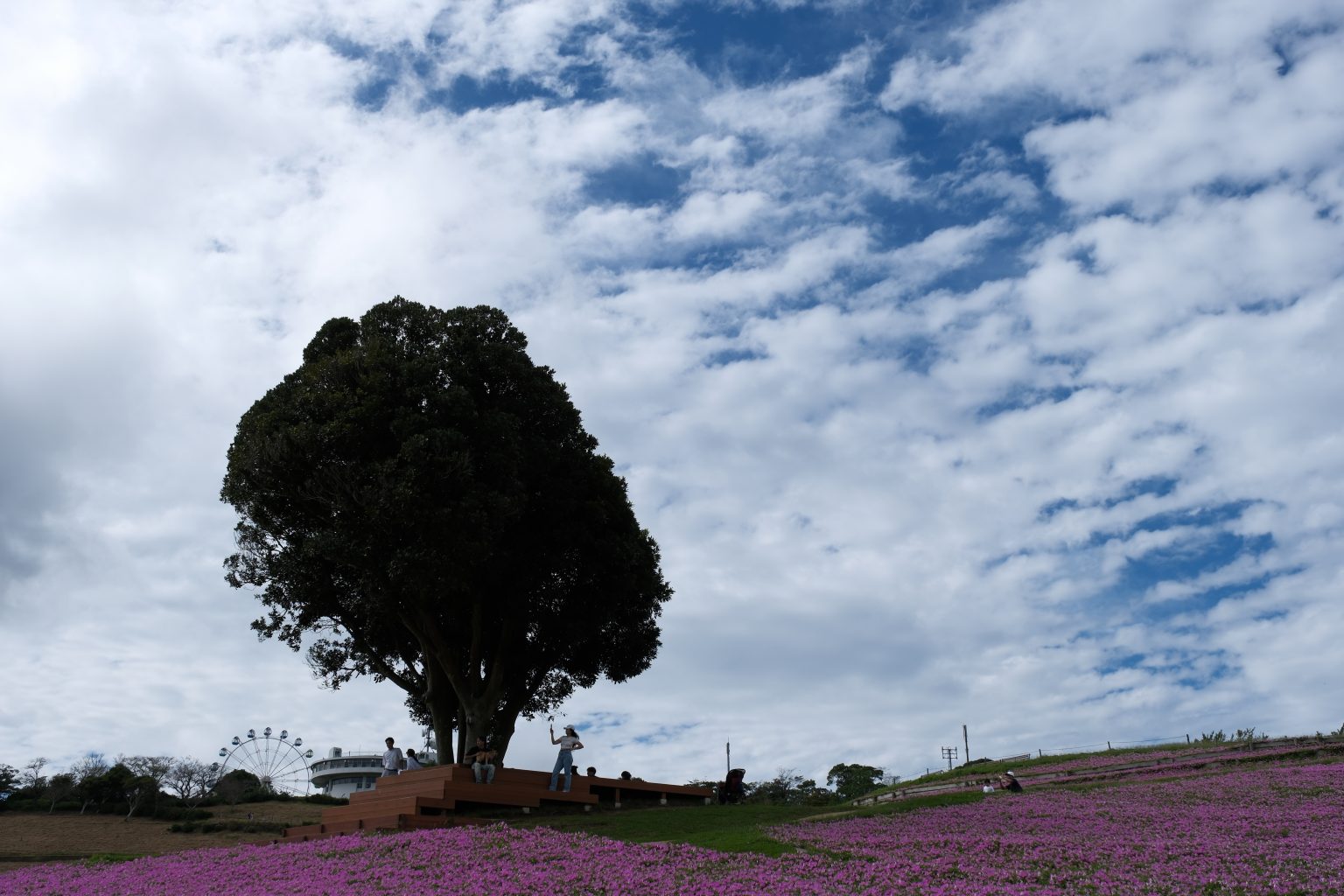 【FUJIFILM】三写三様 Vol.3　～XF16-55mm F2.8 R LM WR編～