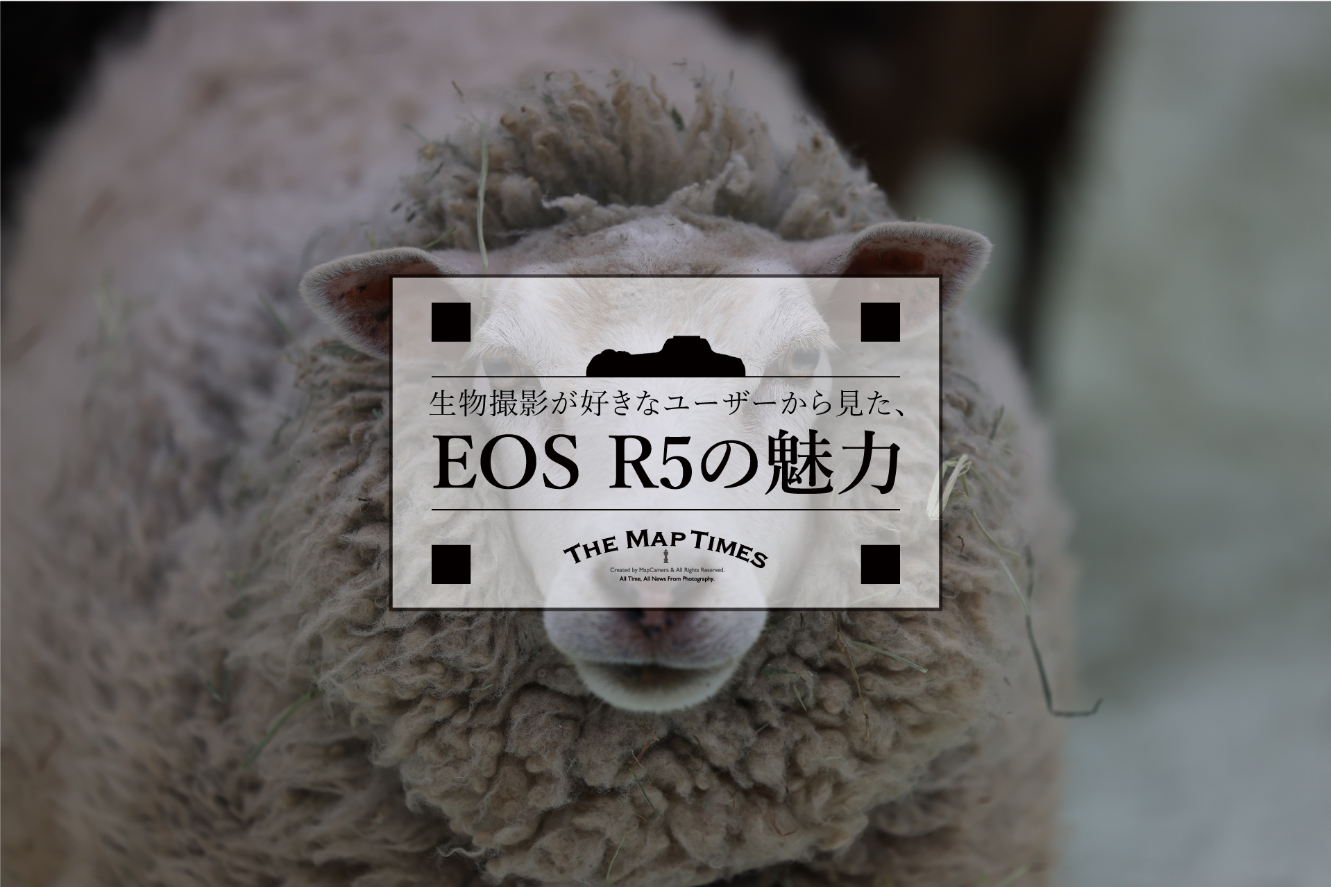 Canon】生物撮影が好きなユーザーから見た、EOS R5の魅力 | THE Canon】生物撮影が好きなユーザーから見た、EOS R5の魅力 | THE