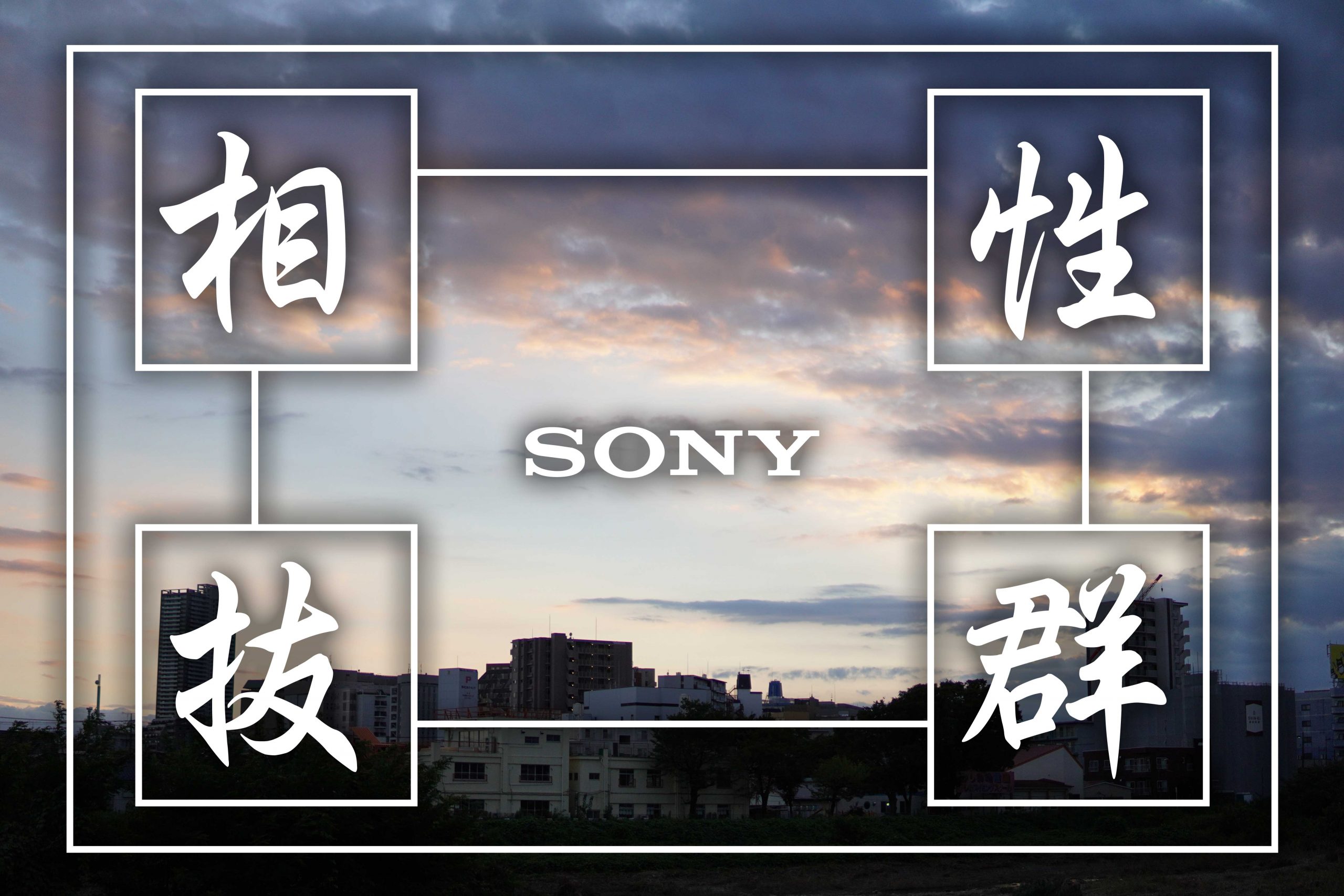 SONY】相性抜群！α6400×SIGMA Contemporary 30mm F1.4 DC DN | THE MAP TIMES