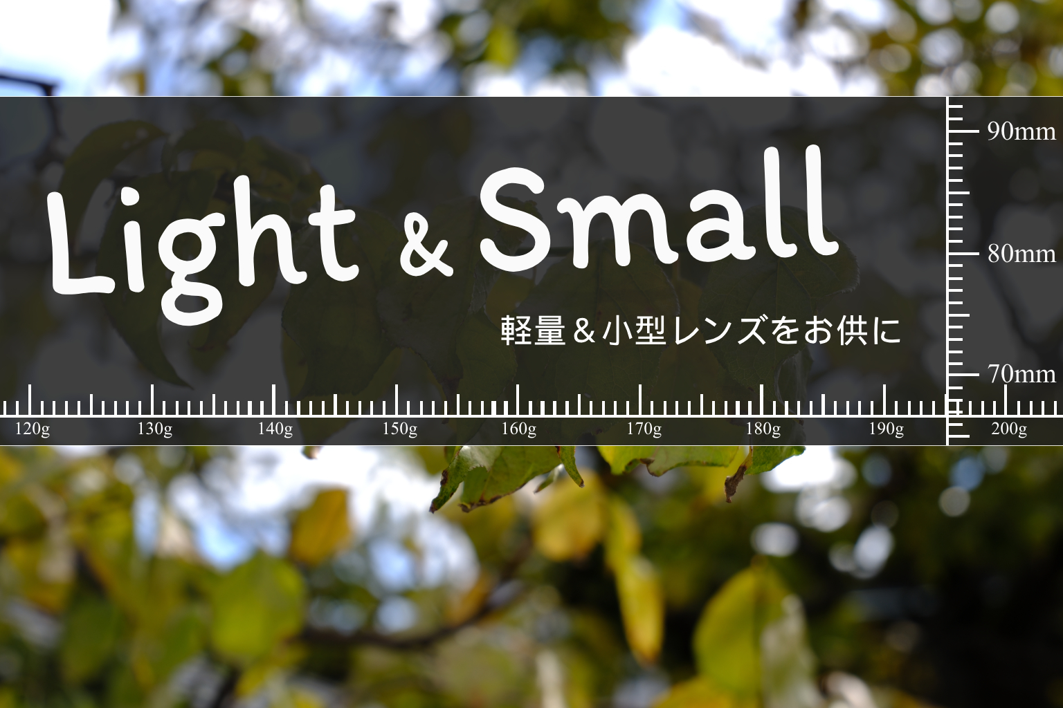 【FUJIFILM】Light&Smallなレンズをお供に【XF16-50mm F2.8-4.8 R LM WR】