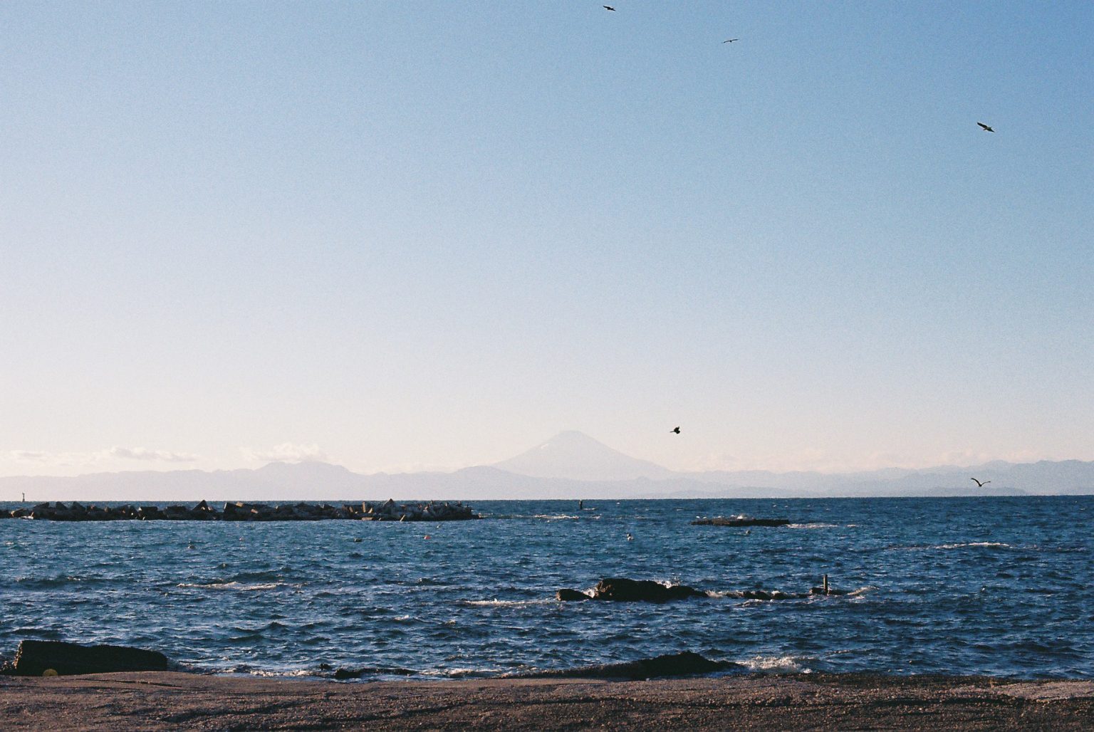 【Nikon】フィルムカメラを持って海の町へ