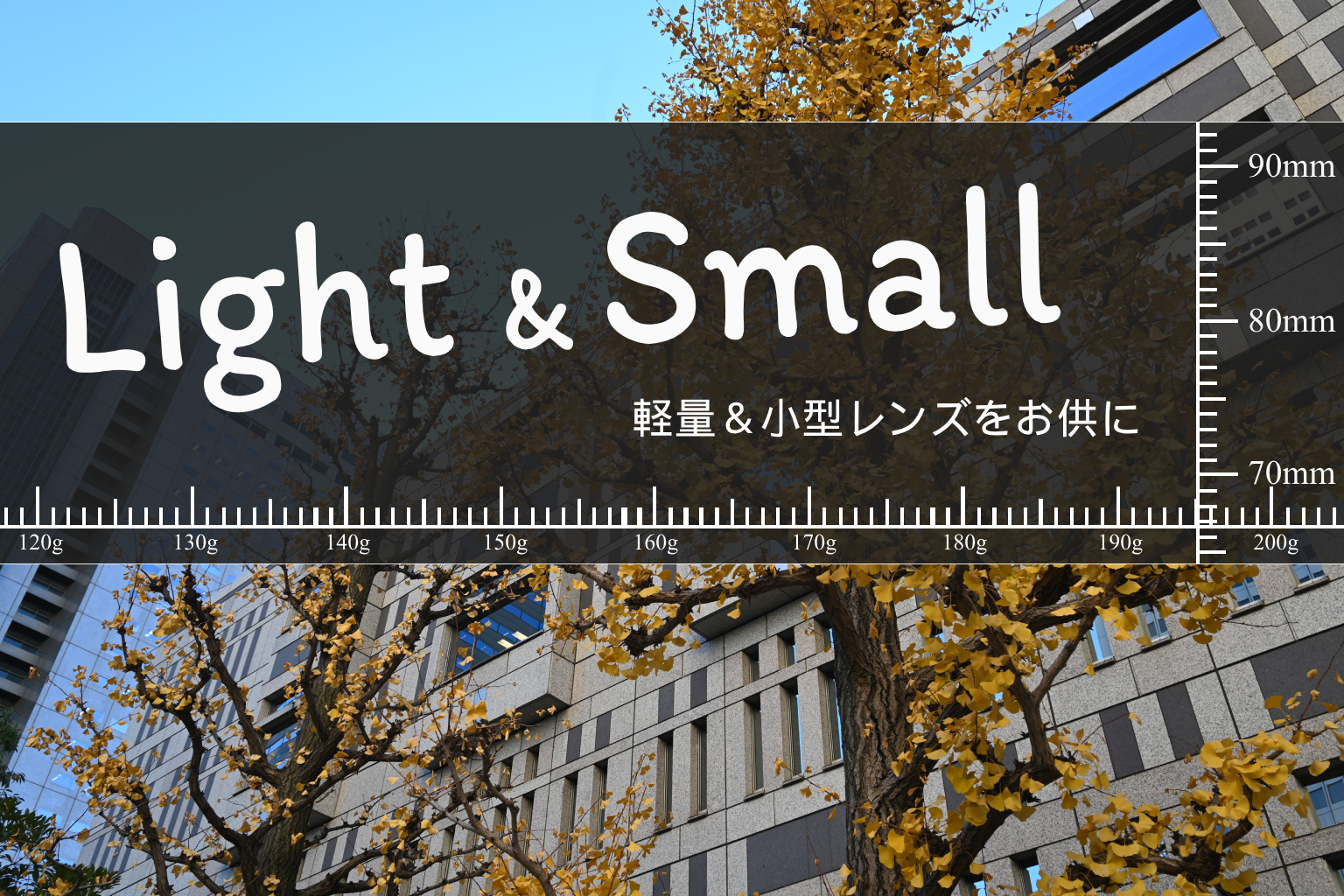 【Nikon】Light&Smallなレンズをお供に【Z 24-50mm F4-6.3】