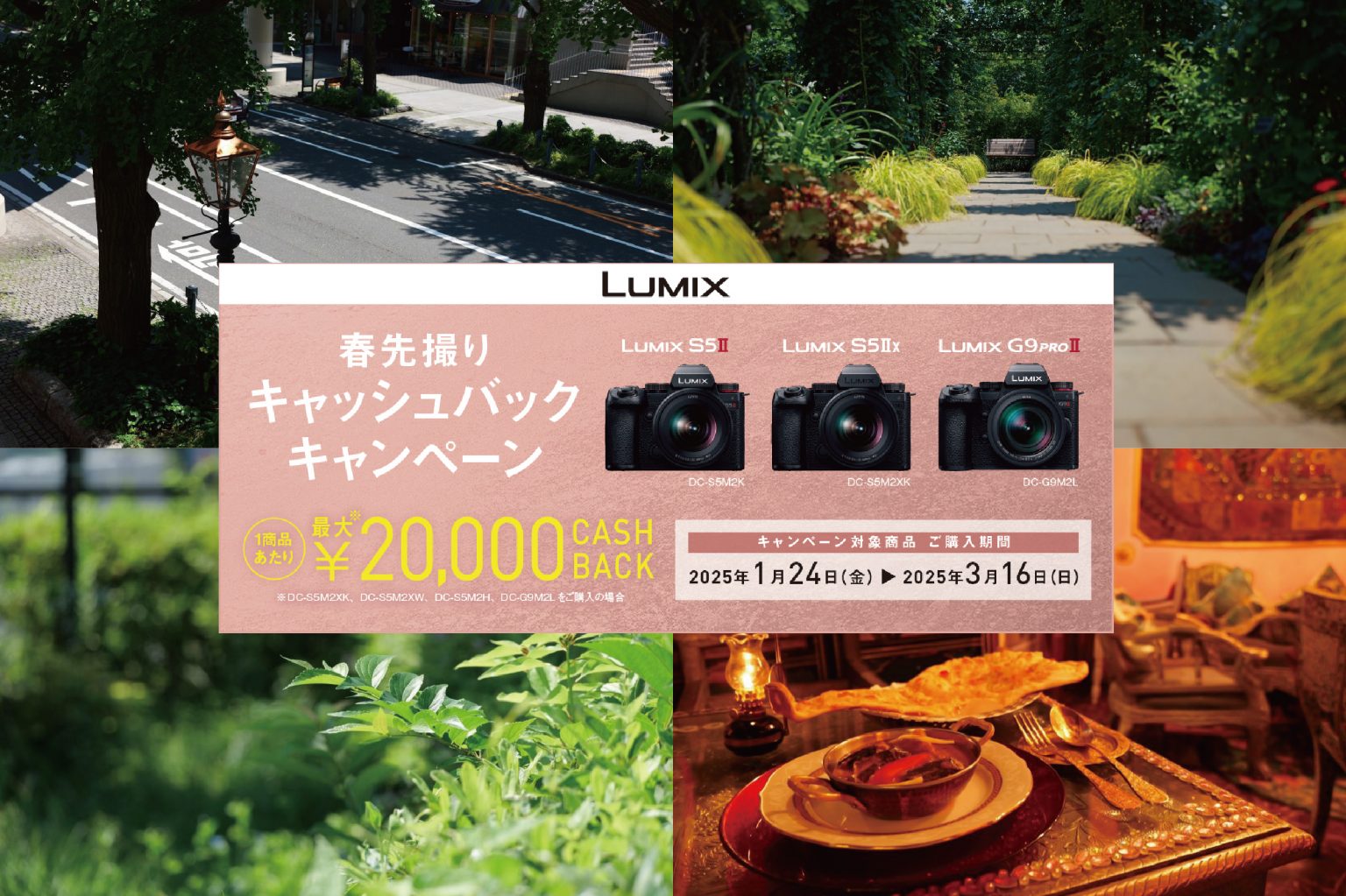 【Panasonic】『春先撮りキャッシュバックキャンペーン』が始まりました！