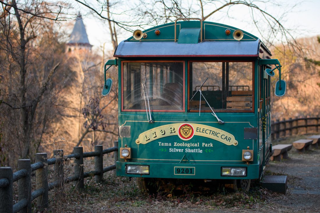 Nikon D500とSIGMA Art 50-100mm F1.8 DC HSMで撮影した作例。