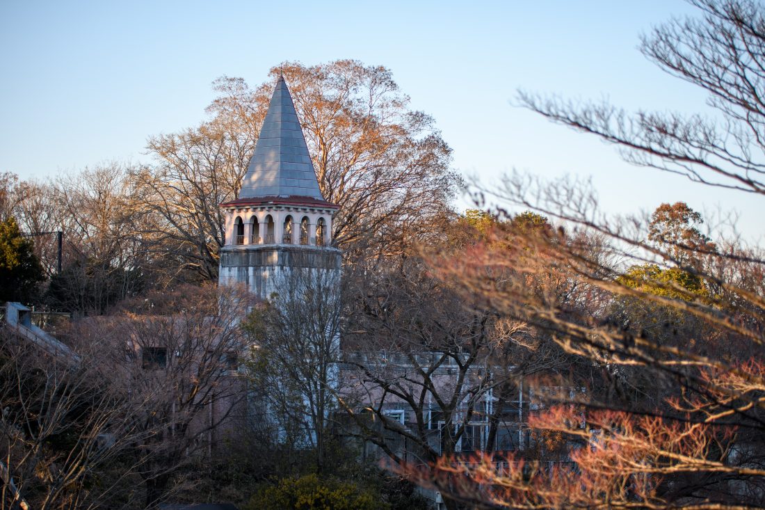 Nikon D500とSIGMA Art 50-100mm F1.8 DC HSMで撮影した作例。