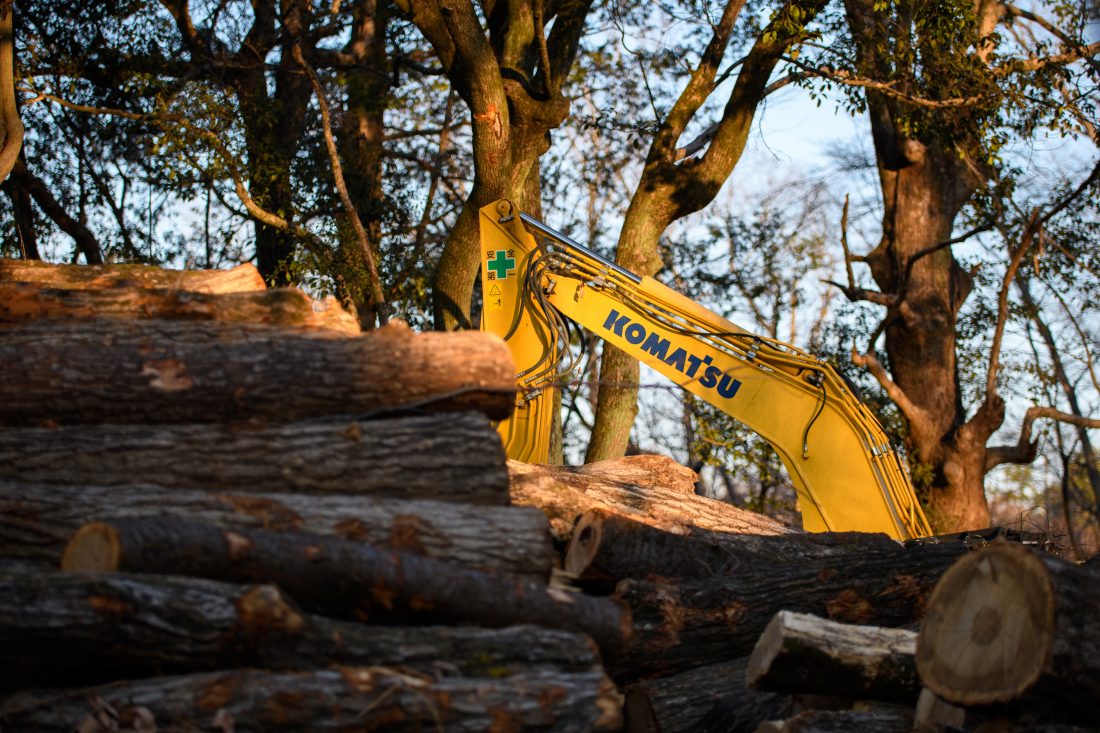 Nikon D500とSIGMA Art 50-100mm F1.8 DC HSMで撮影した作例。