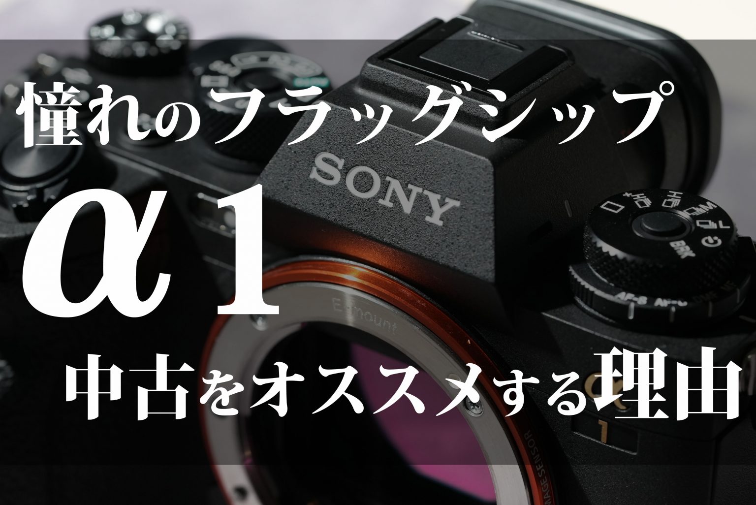 【SONY】憧れのフラッグシップ「α1」中古をオススメする理由