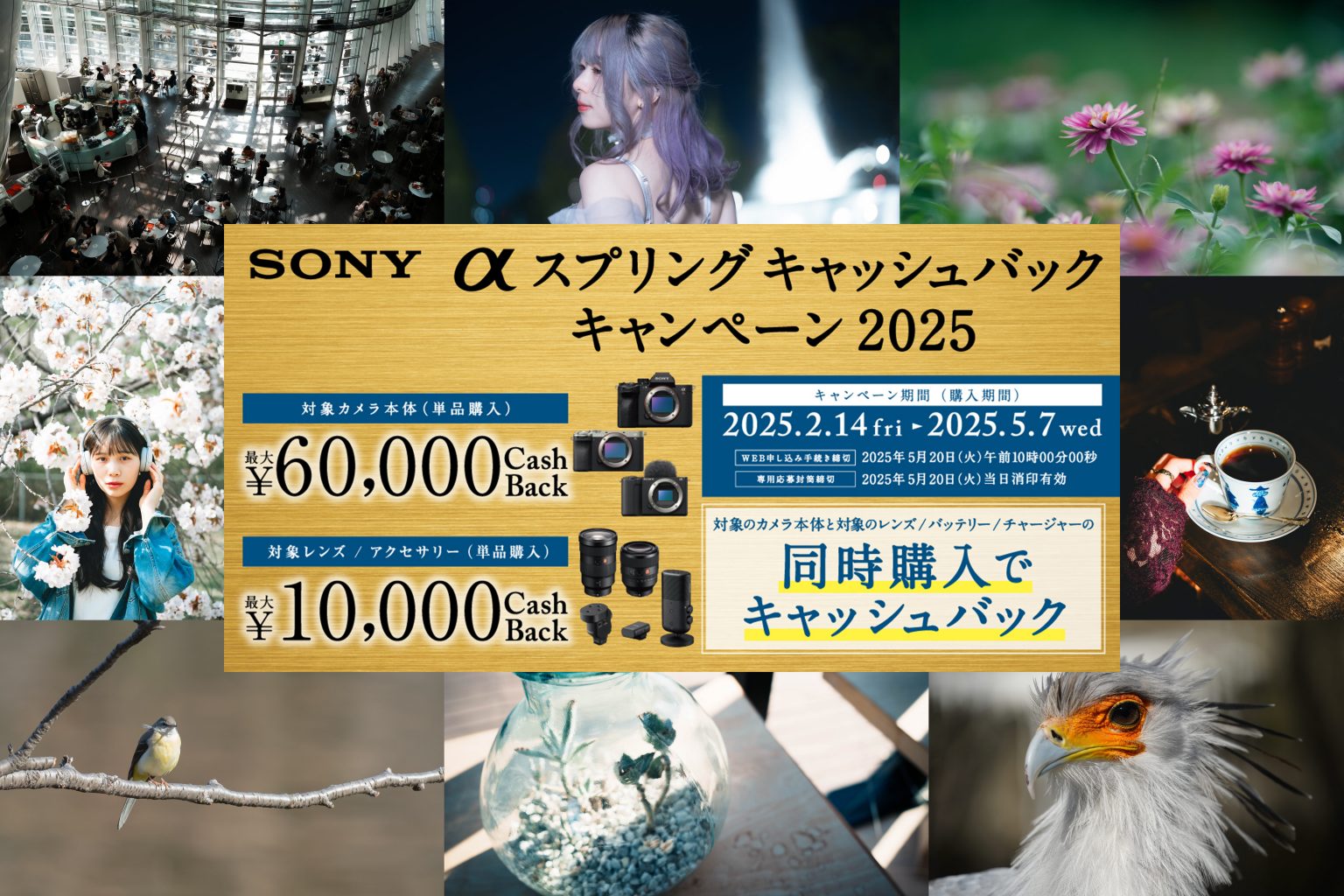 【SONY】春の訪れ！αスプリングキャッシュバックキャンペーン2025