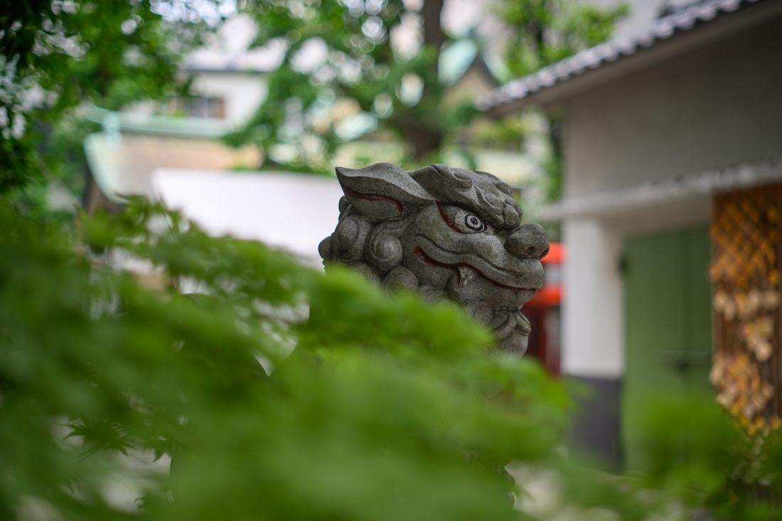 Takumar 55mm F1.8で狛犬を撮影した作例
