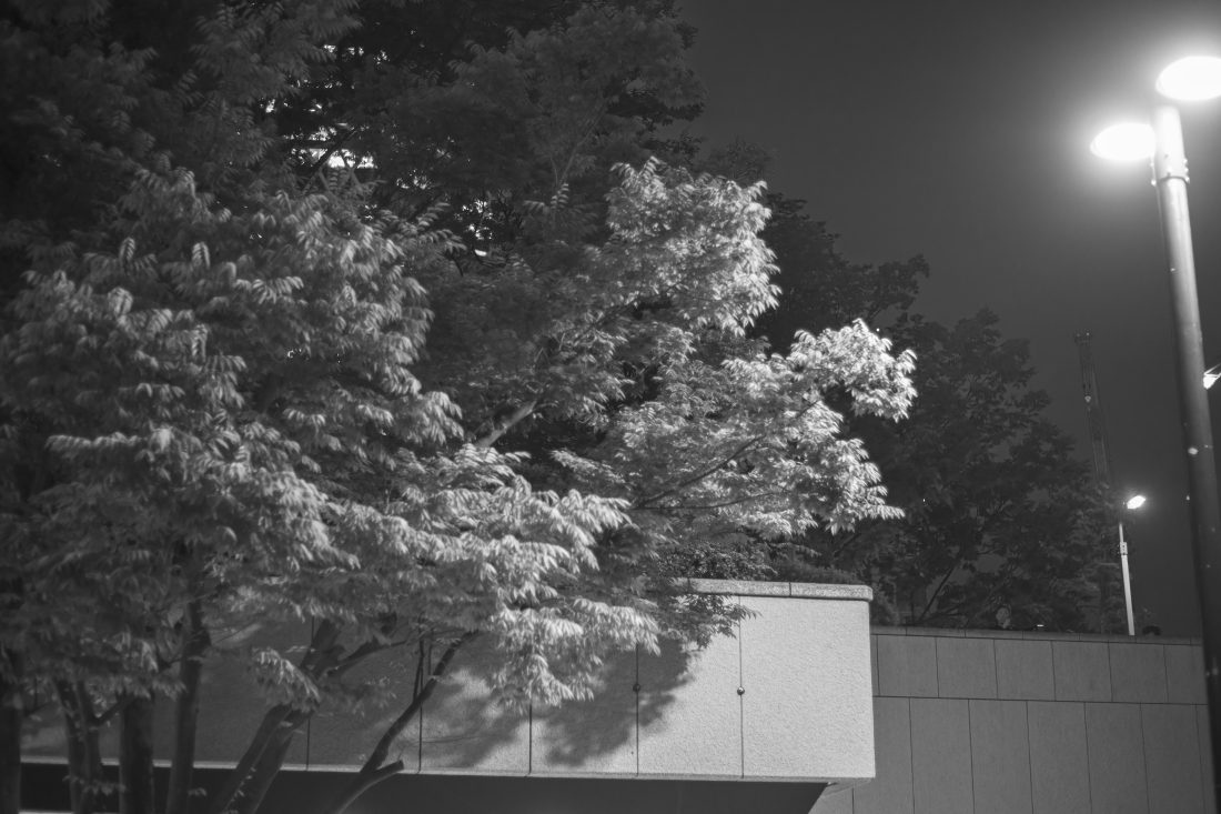 Takumar 55mm F1.8で撮影したモノクロ写真の作例