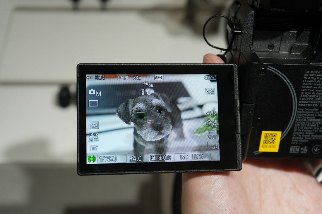 SONY FX2