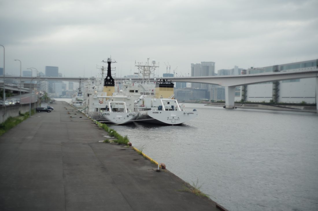 港