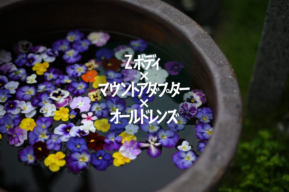 【Nikon/CONTAX】Z6II×CONTAX Planar T*50mm F1.4で日常に少しの味わいを。