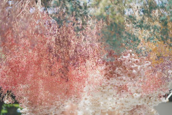【SONY】 FE 35mm F1.8の魅力 「スナップ撮影に最適！小型軽量の実力派」