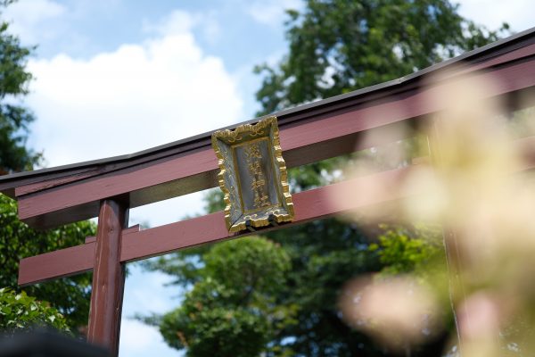 【SIGMA/FUJIFILM】世界を驚かせたF1.8通しズームが、ミラーレス専用設計になって帰ってきました。