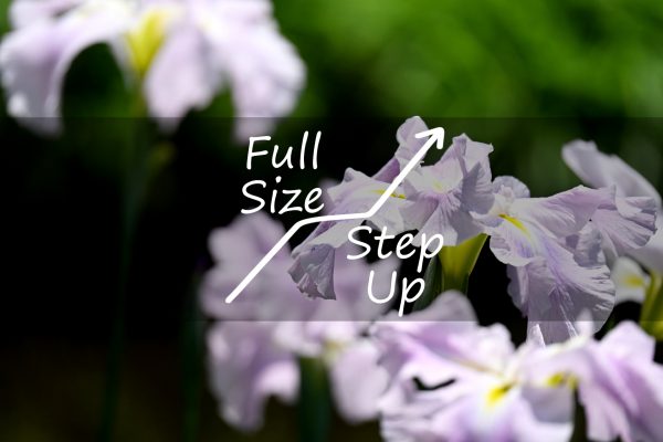 【StepUp/Nikon】フルサイズ機へのすゝめ  ～ Z f ～